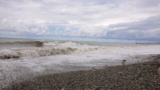 DSC_4510.JPG
