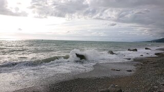DSC_4594.JPG