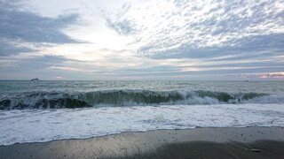 DSC_4699.JPG