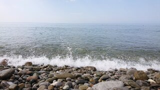 DSC_4903.JPG