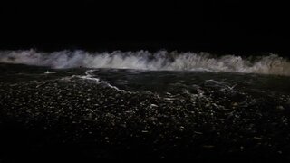 DSC_4922.JPG