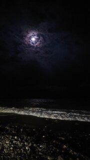 DSC_4941.JPG