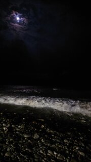 DSC_4944.JPG
