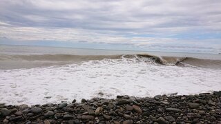 DSC_4967.JPG