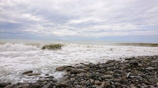 DSC_5006.JPG