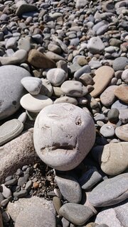 DSC_5048.JPG