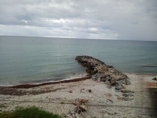 IMG_20260902_064940_996.jpg