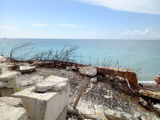 IMG_20260902_124610_957.jpg