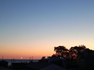 IMG_20260903_191937_371.jpg