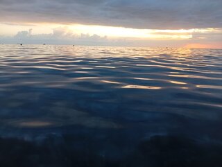 IMG_20260904_183753.jpg