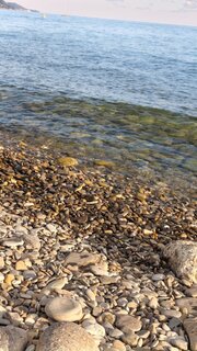 IMG_20260906_173306_263.jpg