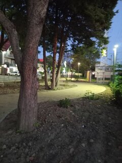 IMG_20260906_191338_789.jpg