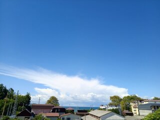 IMG_20260907_102951_388.jpg