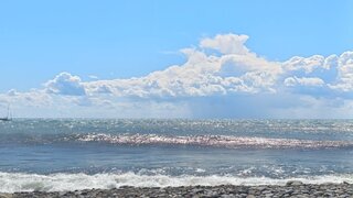 IMG_20260907_124507_978.jpg