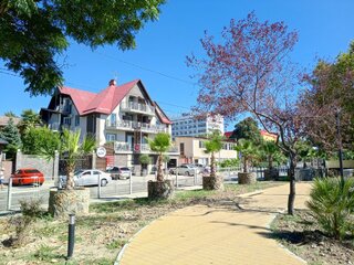IMG_20260910_134653_863.jpg