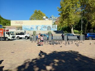 IMG_20260910_142455_267.jpg