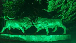 IMG_20260910_220444_474.jpg