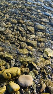IMG_20260912_160659_140.jpg