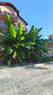 IMG_20260912_161651_219.jpg