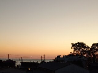 IMG_20260912_185609_731.jpg