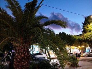 IMG_20260912_192143.jpg