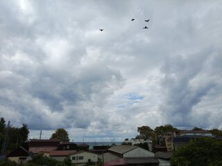 IMG_20260915_104951_399.jpg