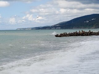 IMG_20260915_134143_475.jpg