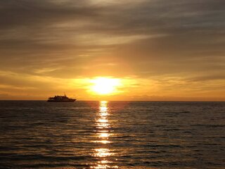 IMG_20260917_181636_287.jpg