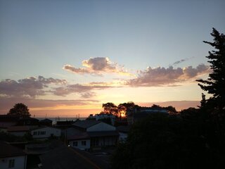 IMG_20260923_181302_756.jpg