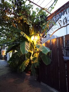IMG_20260923_183859_941.jpg