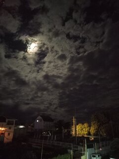IMG_20260924_224250_026.jpg