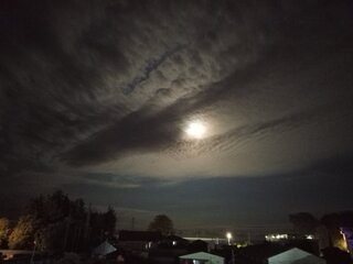 IMG_20260926_031906_469.jpg