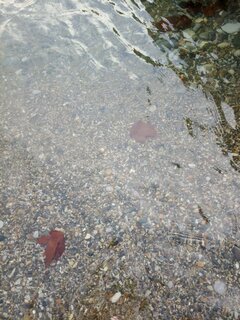 IMG_20260927_172137_158.jpg