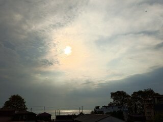 IMG_20260928_163139_753.jpg
