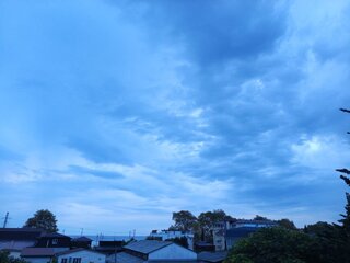 IMG_20260928_180540_850.jpg