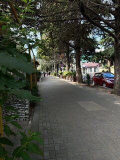 IMG_7498.jpeg
