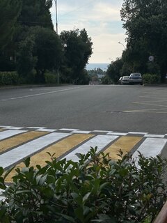 IMG_7500.jpeg