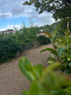 IMG_7503.jpeg