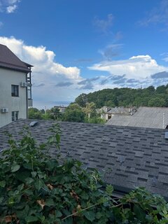 IMG_7504.jpeg