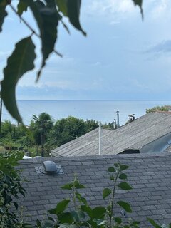IMG_7508.jpeg