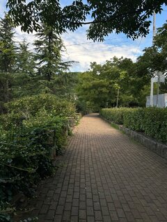 IMG_7511.jpeg