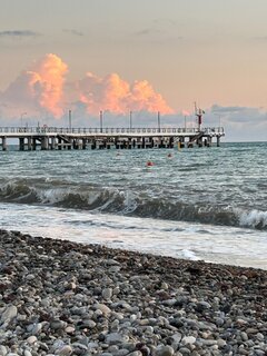 IMG_7540.jpeg