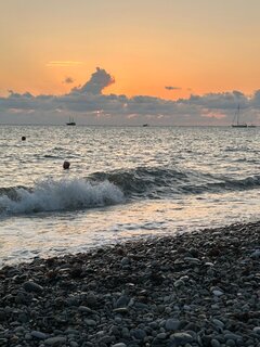 IMG_7544.jpeg
