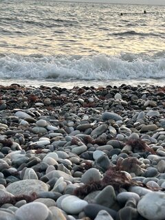 IMG_7547.jpeg