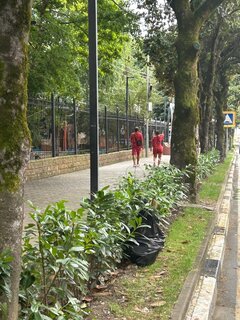 IMG_7594.jpeg