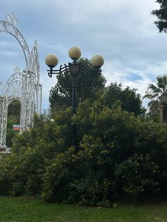 IMG_7595.jpeg