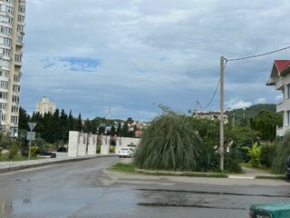 IMG_7600.jpeg