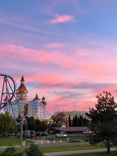 IMG_0041.jpeg